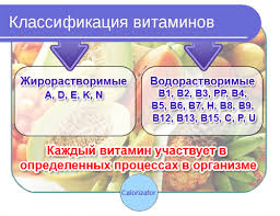 классификация витаминов