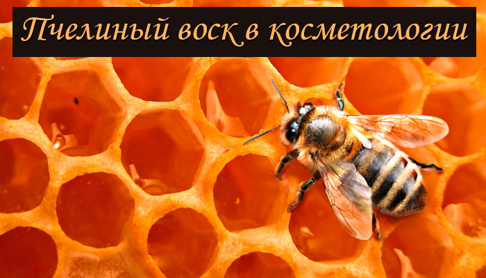 Пчелиный воск в косметологии