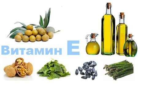 продукты, содержащие витамин Е