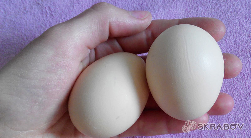 Подтягивающая маска для лица с белком яйца: легкие рецепты 39-2