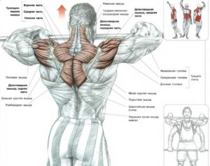 тяга штанги к подбородку для плечевых мышц