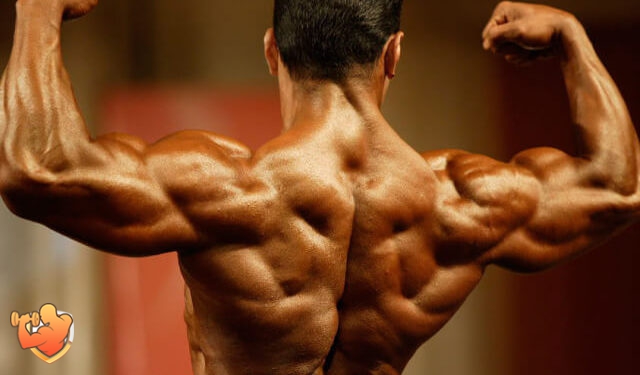 vidy bodybuildinga blog Sergey Tyapkina