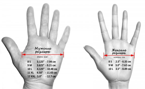 размеры выбора перчаток для фитнеса