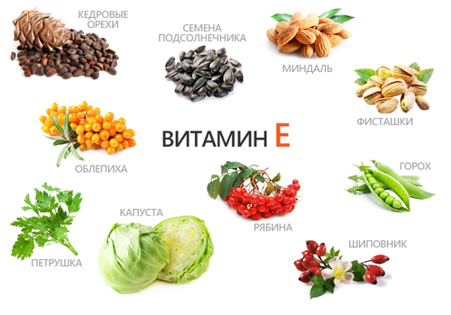 продукты содержащие витамин Е